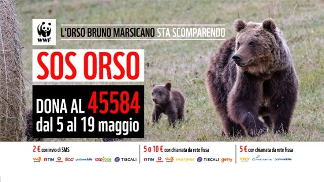 Oasi WWF