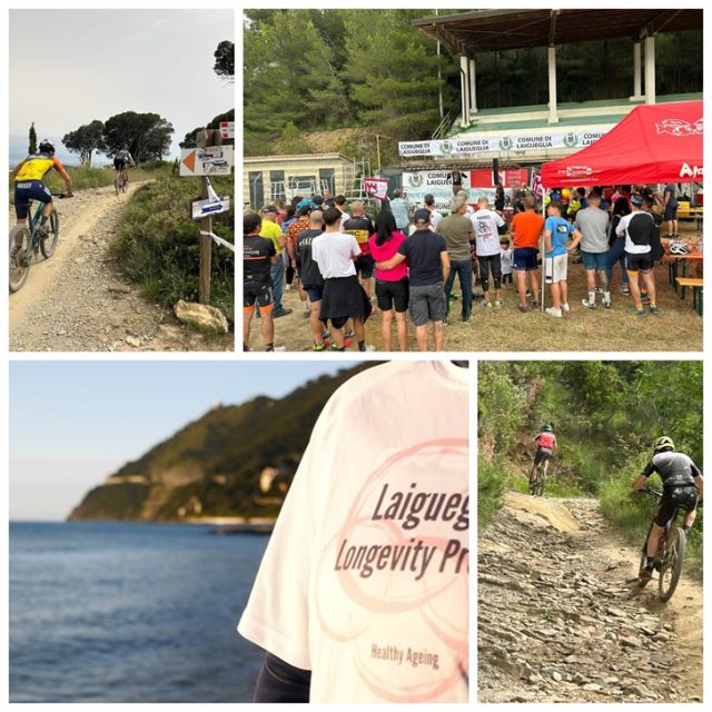 6H Endurance E-MTB 6H Endurance E-MTB