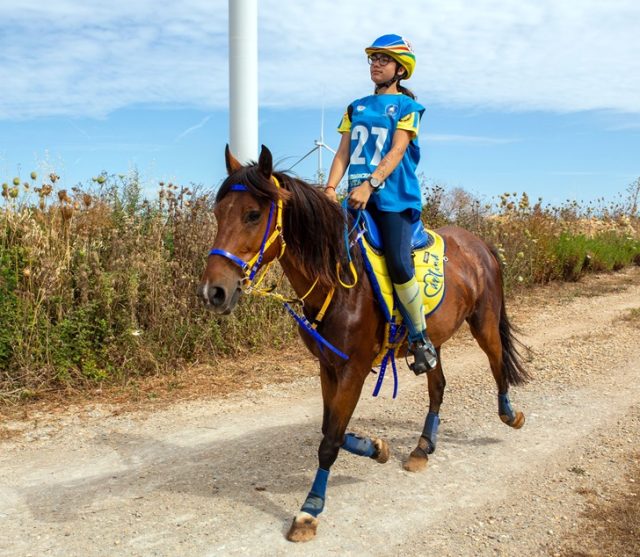 Endurance Pony Endurance Pony