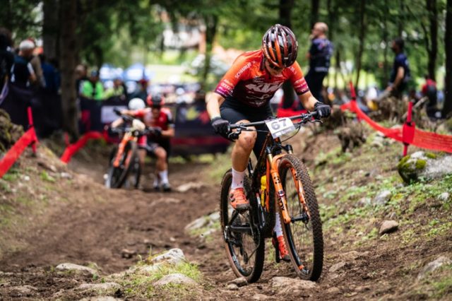 Ktm Protek Elettrosystem Ktm Protek Elettrosystem