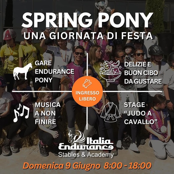 Spring Pony Spring Pony
