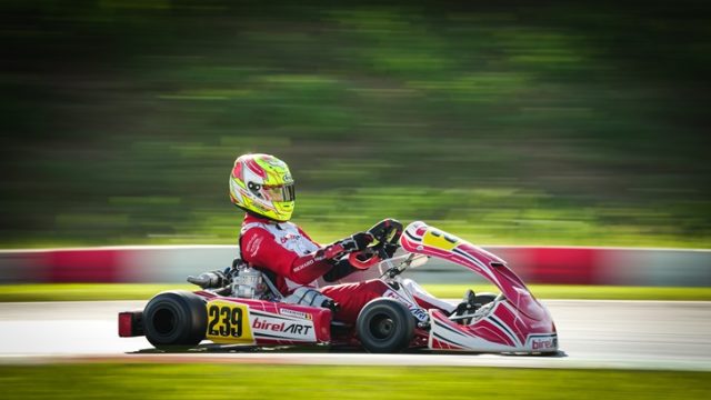 Birel ART