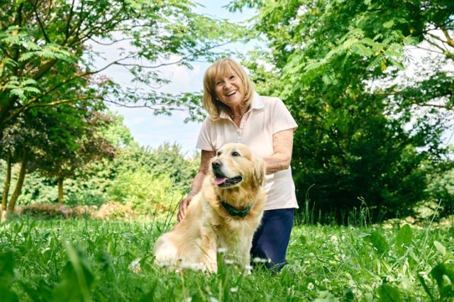 Giornata mondiale del cane Giornata mondiale del cane