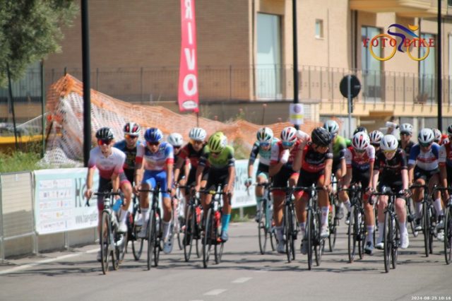 Trofeo OMM Minuterie Metalliche Trofeo OMM Minuterie Metalliche