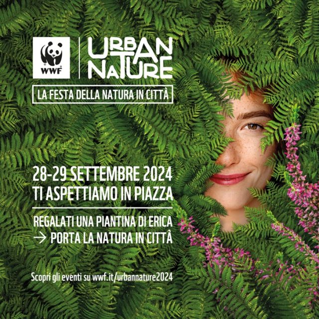 Urban Nature