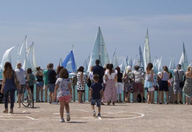 Vela Vela