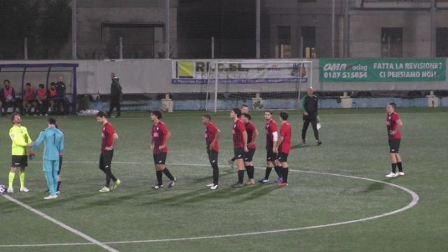 Ceparana Ceparana