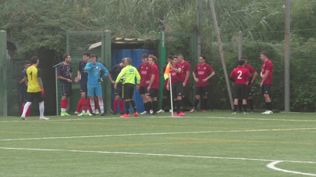 Ceparana Ceparana