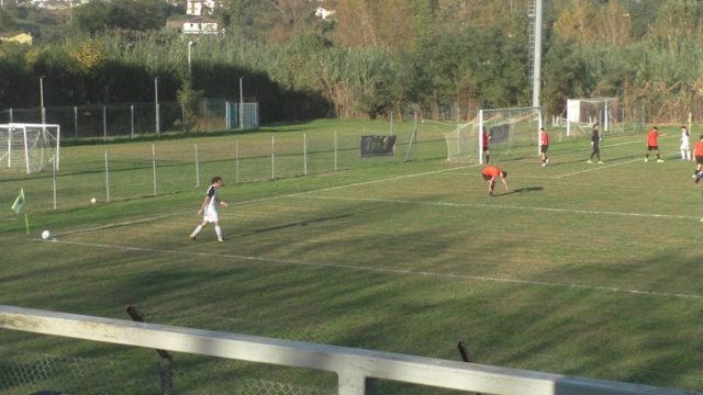 Ceparana Ceparana