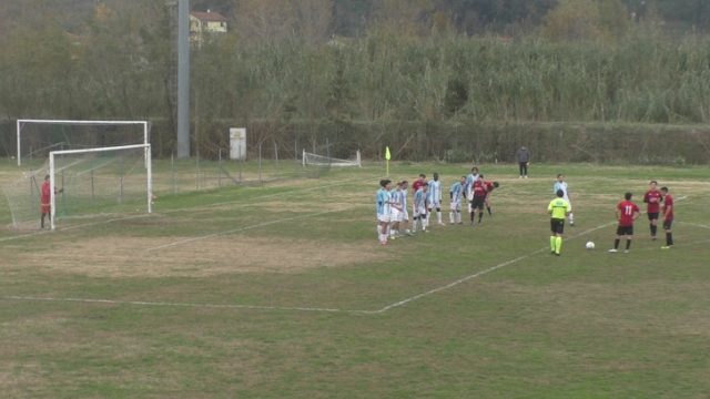 Ceparana Ceparana