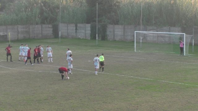 Ceparana Ceparana
