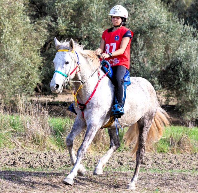 Coppa Sardegna di Endurance Coppa Sardegna di Endurance