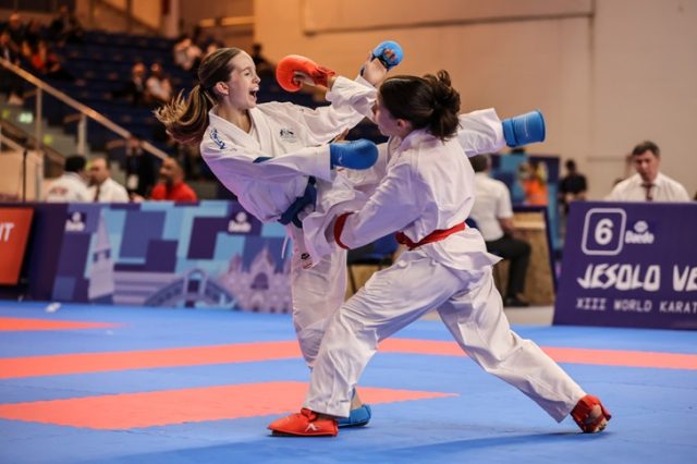 Venice Youth League Karate Venice Youth League Karate