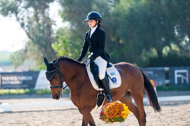 Dressage Dressage