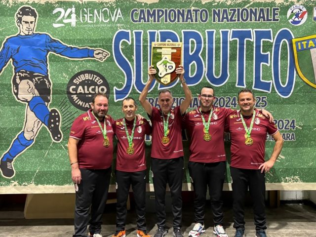 Subbuteo Subbuteo