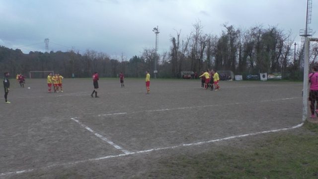 Ceparana Ceparana