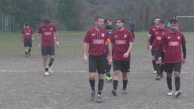 Ceparana Ceparana
