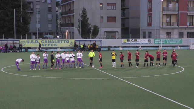 Ceparana Ceparana