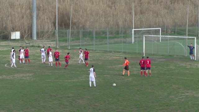 Ceparana Ceparana
