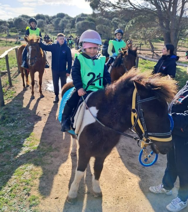 Endurance pony Endurance pony