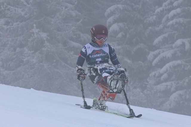 Para Ski Alpine Para Ski Alpine