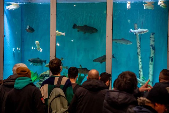 Pescare Show_Acquademo_