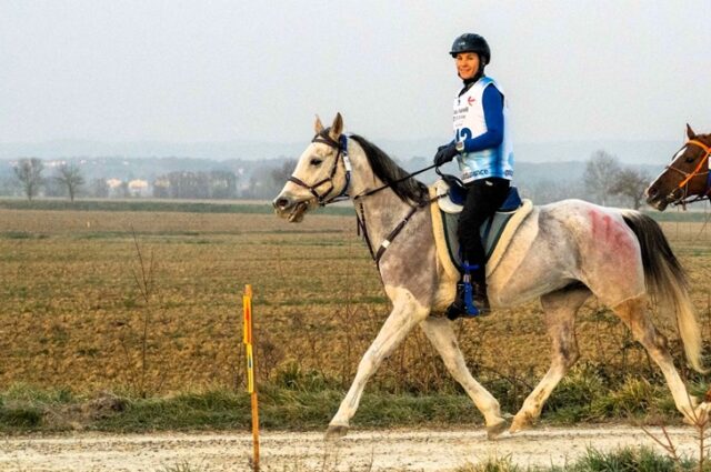 Endurance Endurance