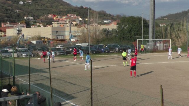 Ceparana