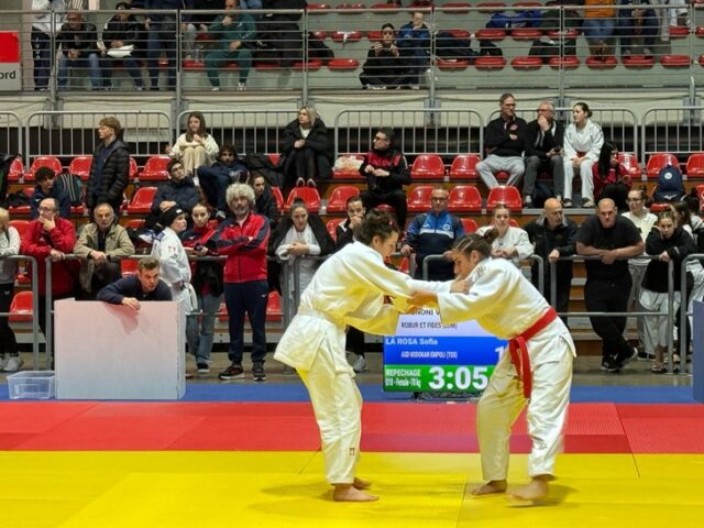 judo judo