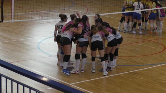Elsel Spezia Elsel Spezia
