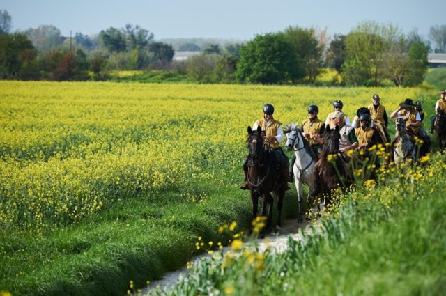 Equiraduno dell’Anno Santo Equiraduno dell’Anno Santo