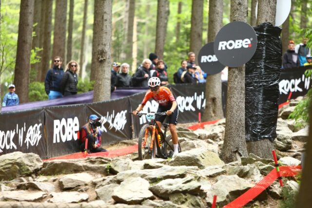 Ktm Protek Elettrosystem Ktm Protek Elettrosystem
