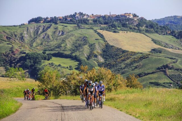 Nalini Road Series Nalini Road Series