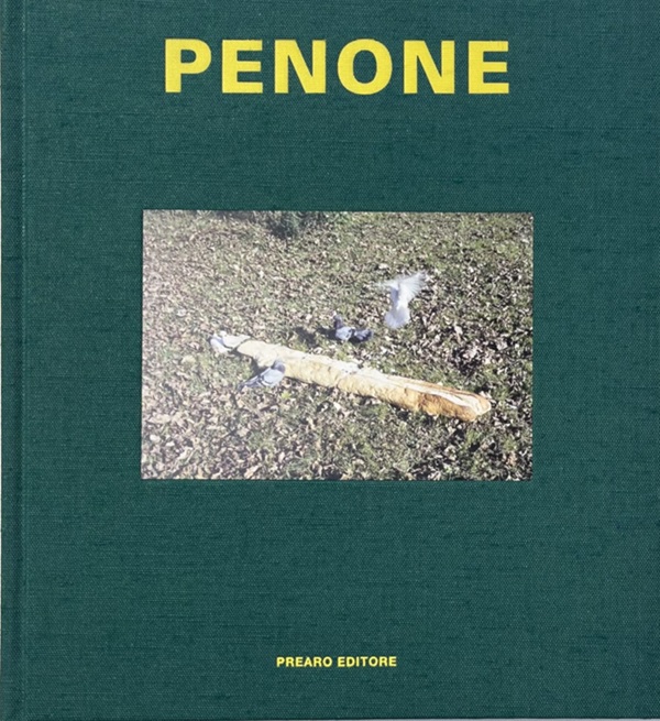 Penone Alpi Marittime Penone Alpi Marittime