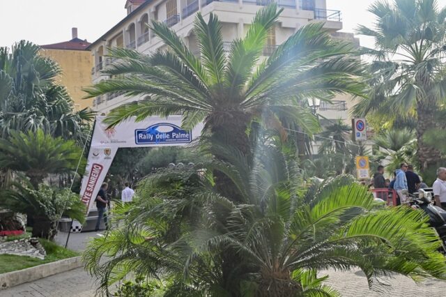 Rally delle Palme Rally delle Palme