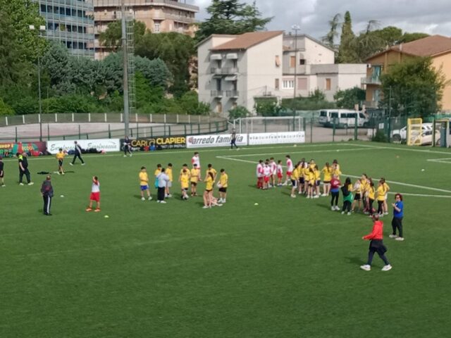 tag rugby