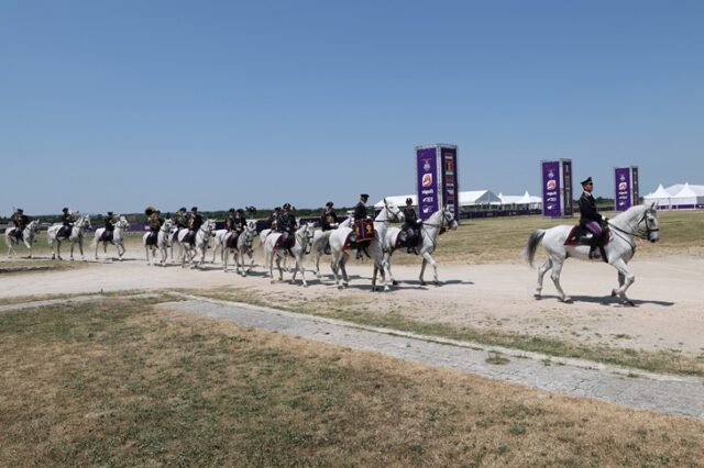 endurance equestre endurance equestre