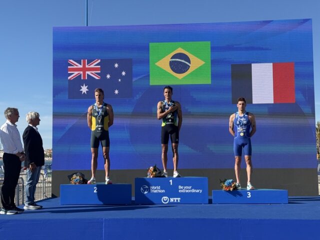 World Triathlon Championship Series