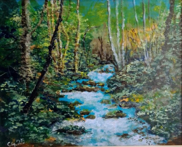 Vetrine d'artista