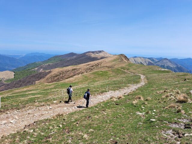 Parco Naturale Regionale delle Alpi Liguri
