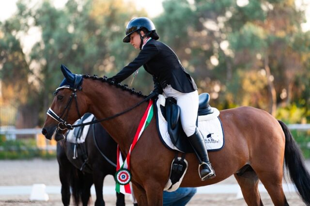 Dressage Dressage