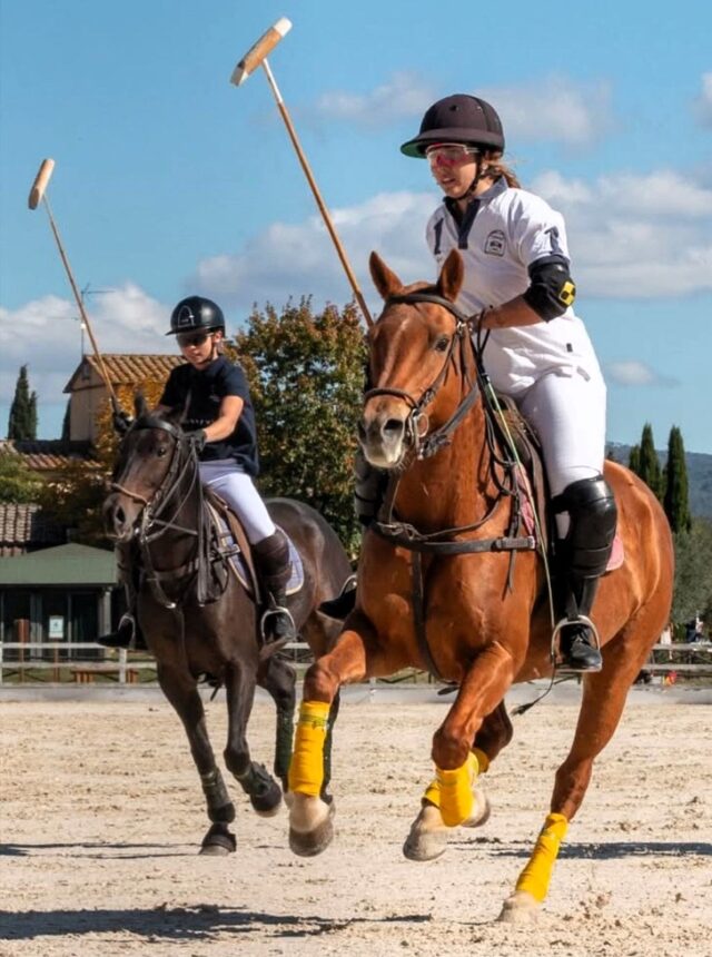 Arena Polo Arena Polo