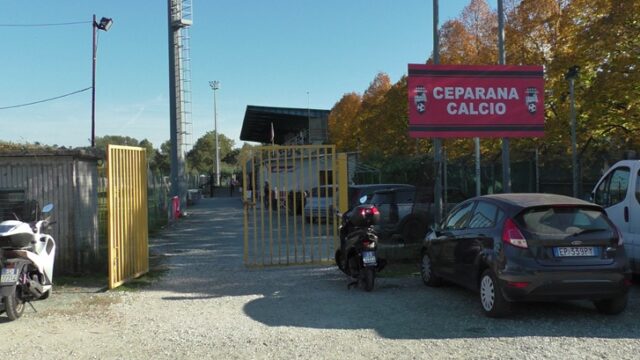 Ceparana Ceparana