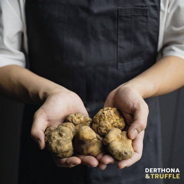 Derthona e Truffle Derthona e Truffle