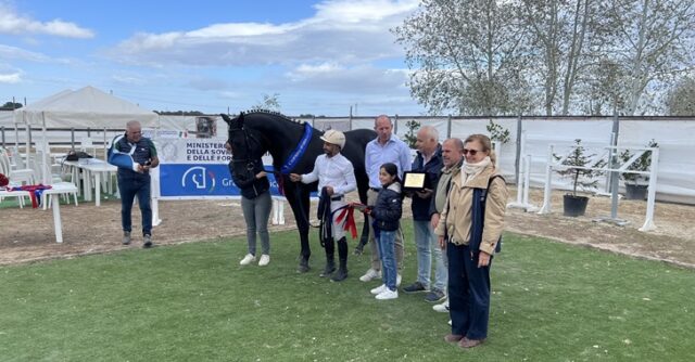 sport equestri sport equestri