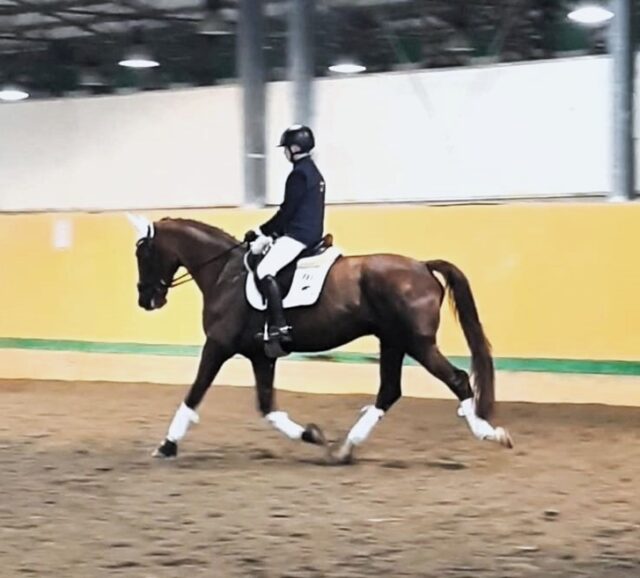 Dressage Dressage