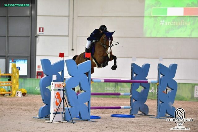 Equitazione Equitazione