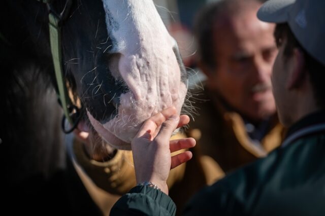 Fieracavalli Fieracavalli