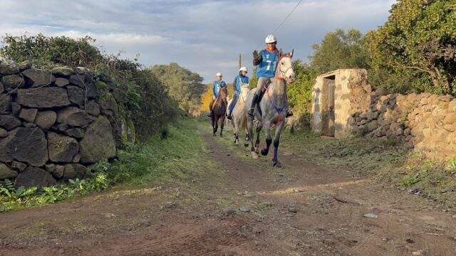 Endurance Endurance