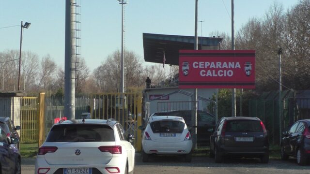 Ceparana Ceparana